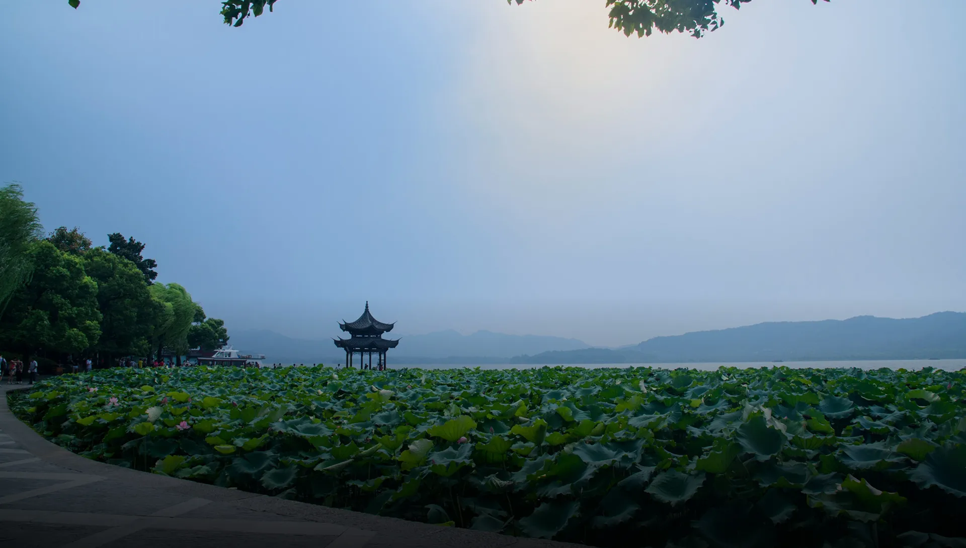 A lakeside pavilion beyond a field of lotus leaves