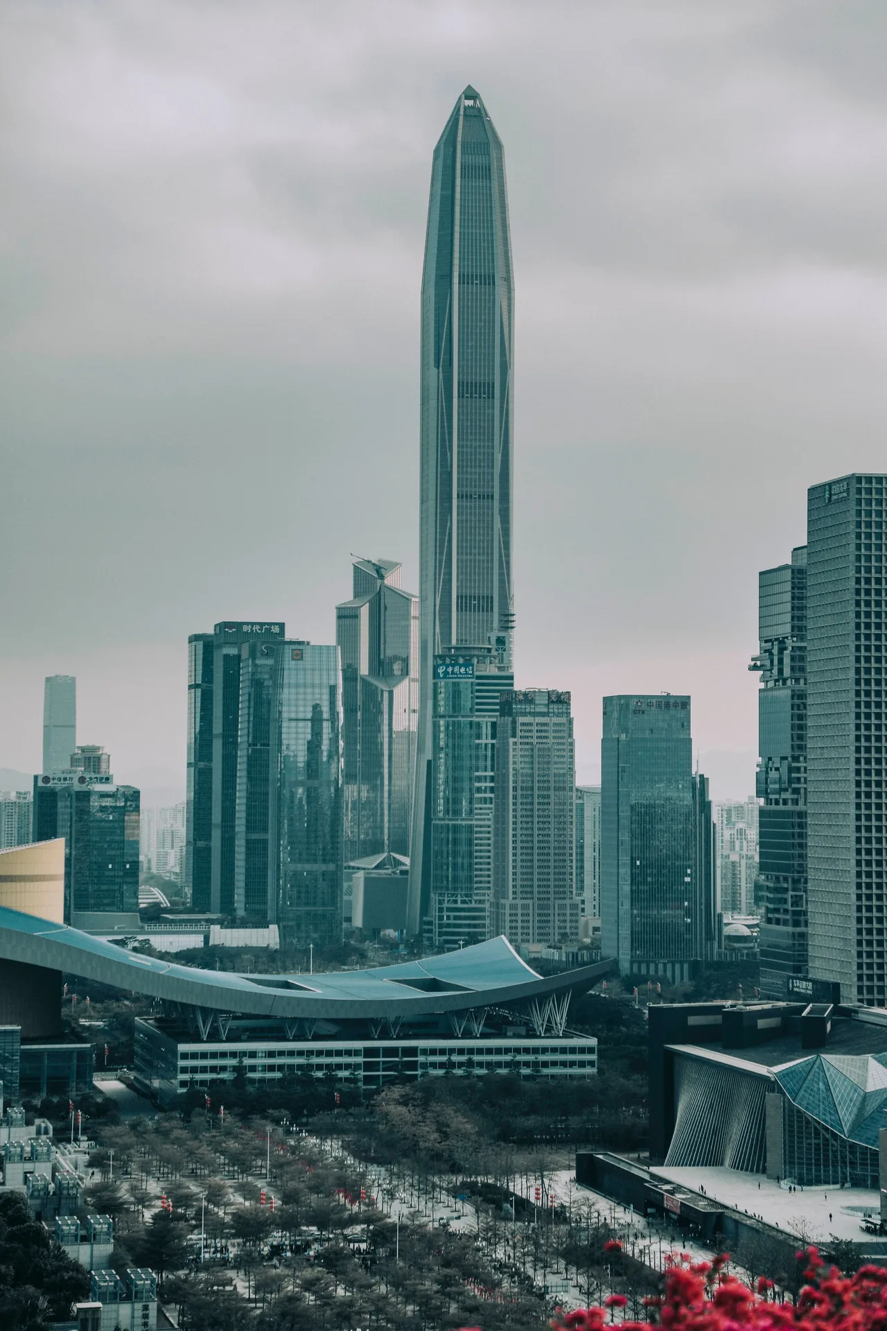 pexels-tangjingao-4449212.jpg